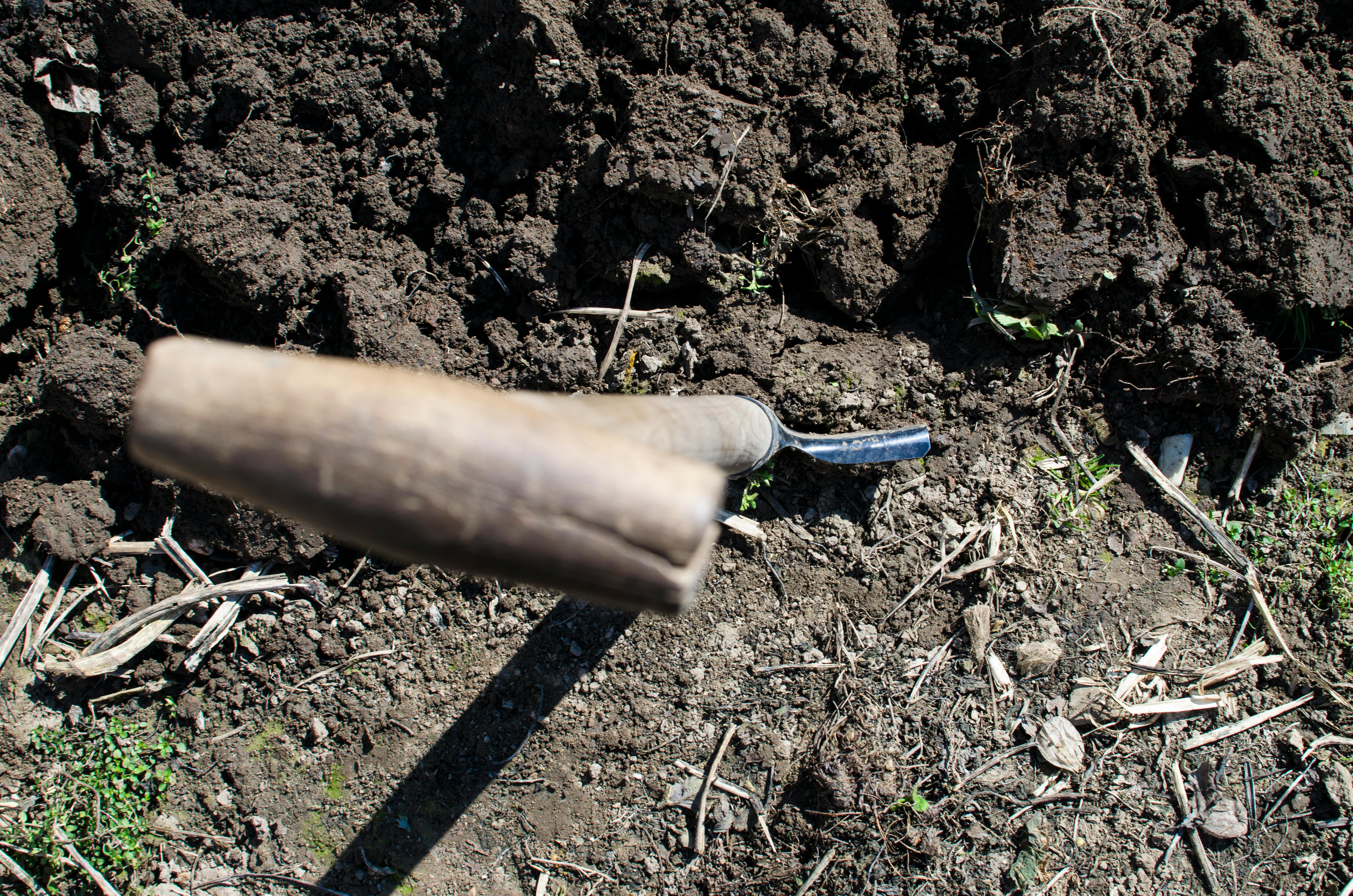 Spade in Soil